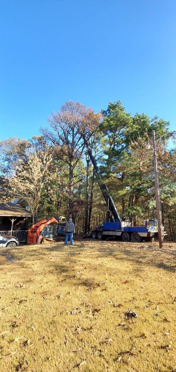 A recent general tree services job in the Hernando, MS area